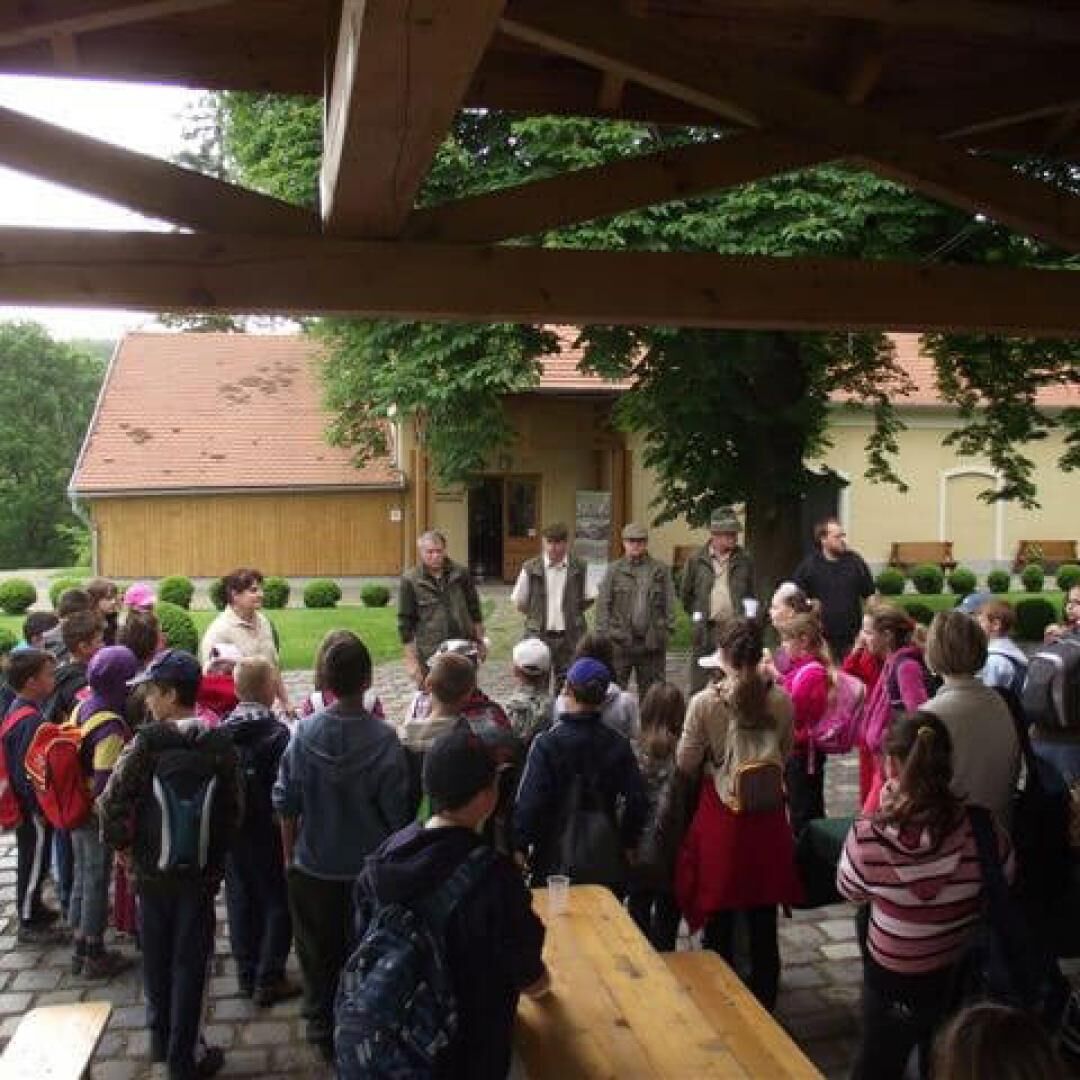 Domszky Pál Erdészeti Erdei Iskola és Matracszállás