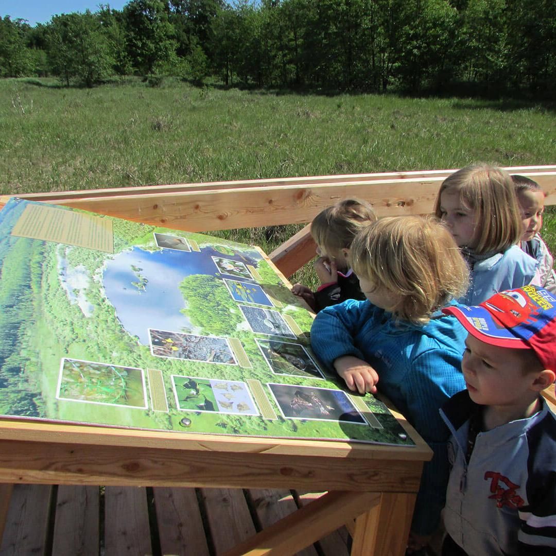 Vadász Göri Erdészeti Erdei Iskola Vadász Göri Erdészeti Erdei Iskola