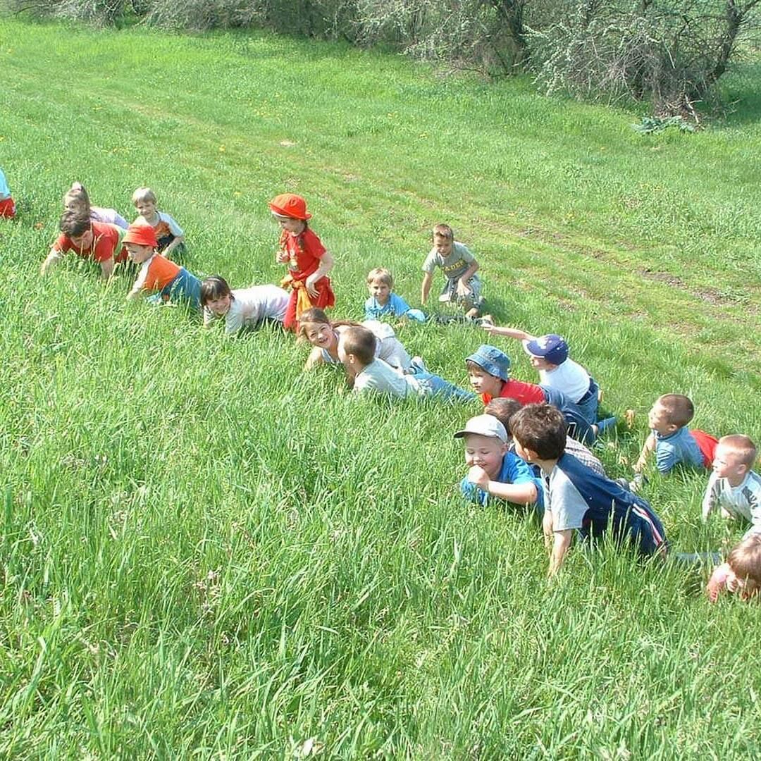Erdei Művelődési Ház Erdészeti Erdei Iskola