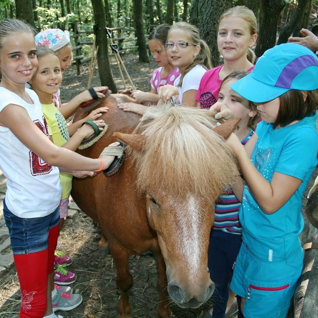 Erdei Művelődési Ház Erdészeti Erdei Iskola