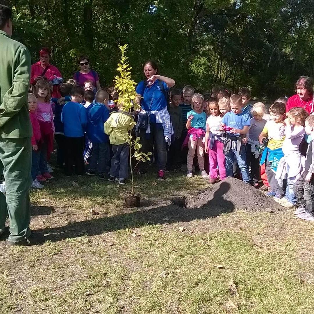 Gilice Erdészeti Erdei Iskola és Óvoda Gilice Erdészeti Erdei Iskola és Óvoda